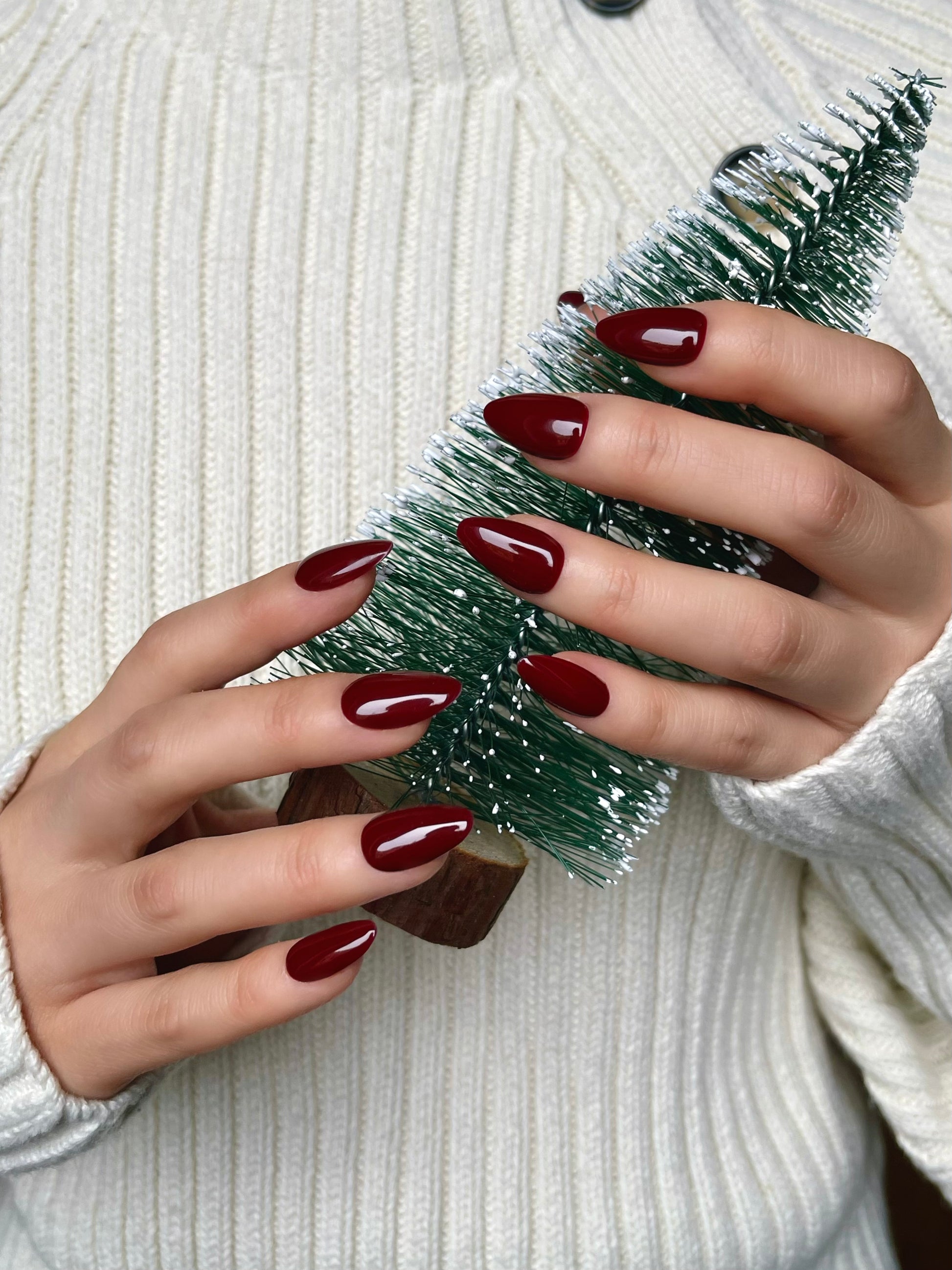 Dunkelroter Traum – Weihnachtsglut